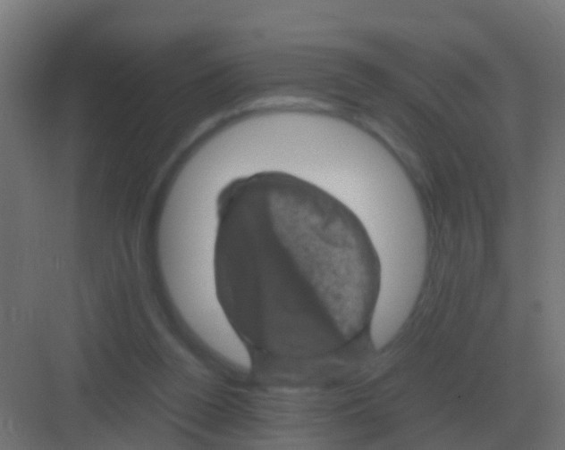 X0000081330160200702082211