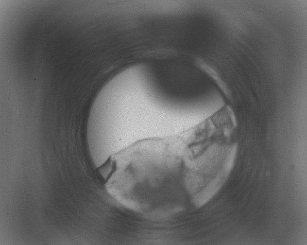 X0000081330161200702082211