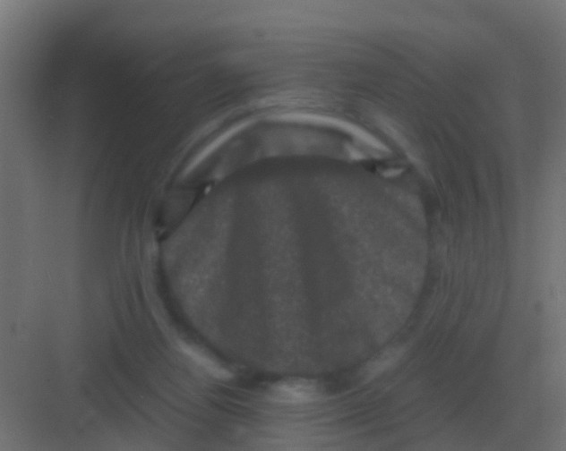 X0000081330164200702082211