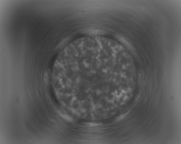 X0000081330165200702082211