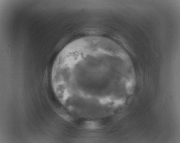 X0000081330167200702082211