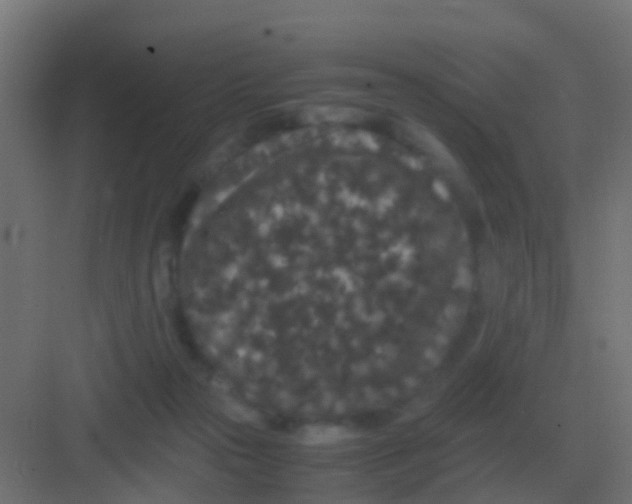 X0000081330169200702082211