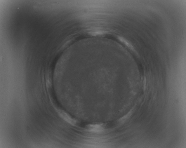 X0000081330170200702082211