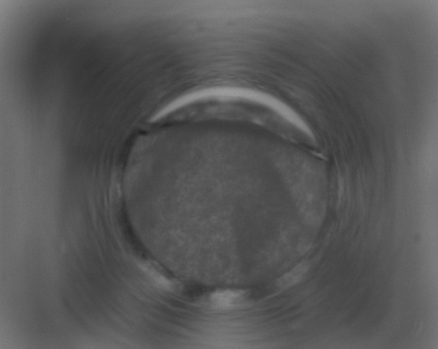 X0000081330172200702082211