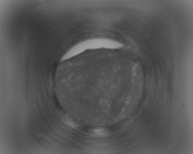 X0000081330173200702082211