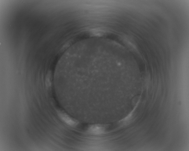 X0000081330174200702082211