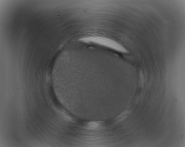 X0000081330176200702082211