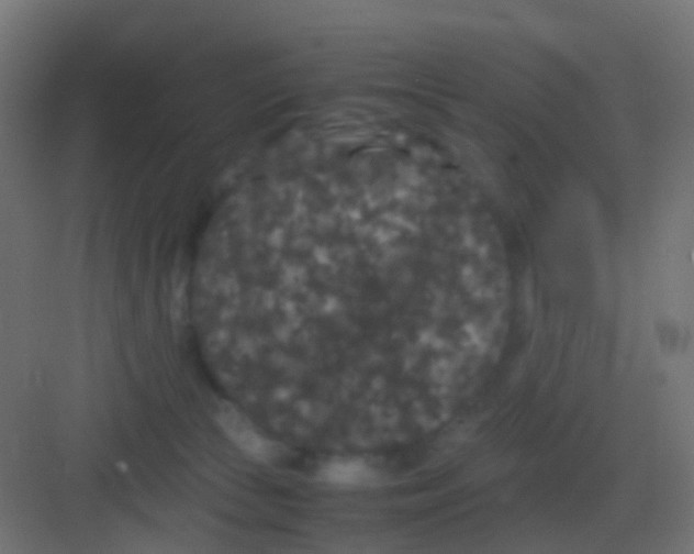 X0000081330177200702082211