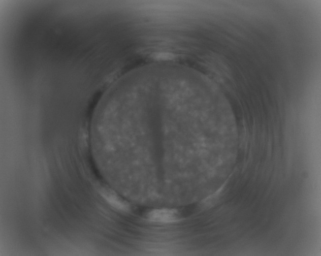 X0000081330179200702082211