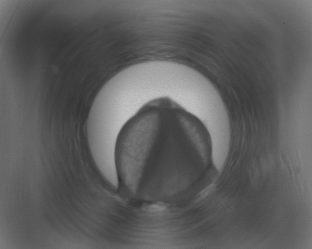 X0000081330180200702082211