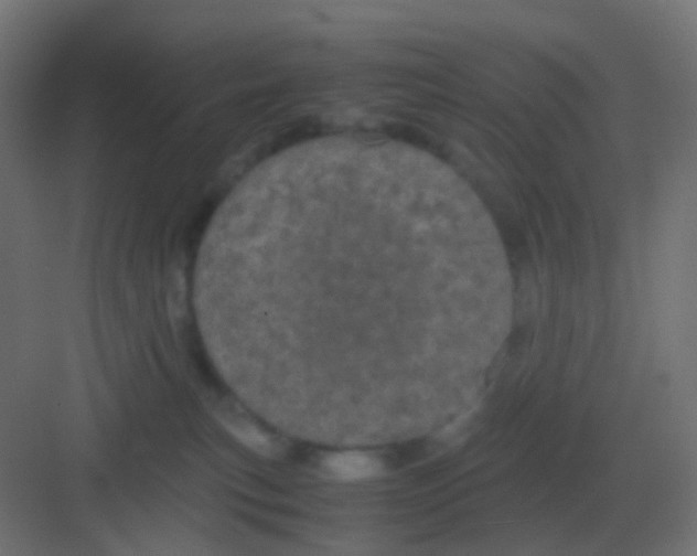 X0000081330183200702082211