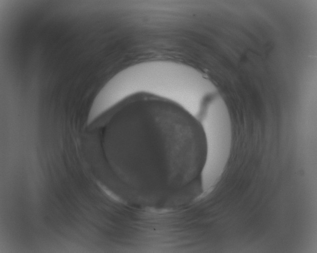 X0000081330184200702082212