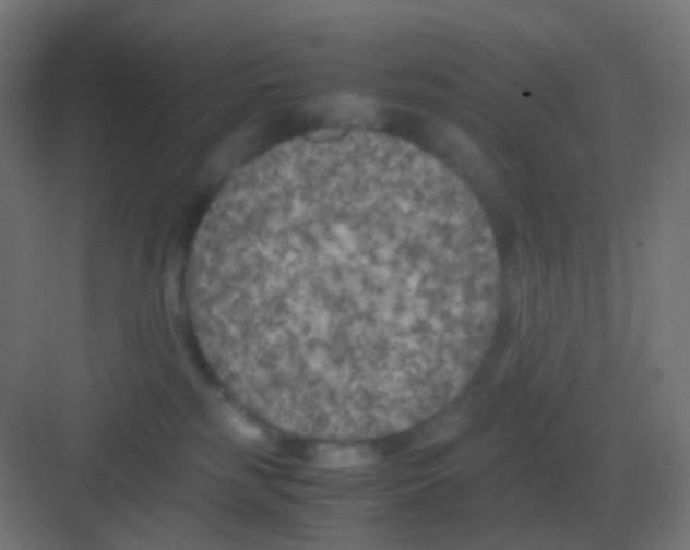 X0000081330185200702082212