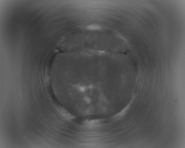 X0000081330186200702082212