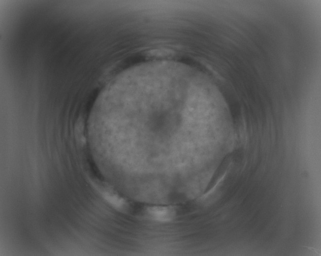 X0000081330187200702082212