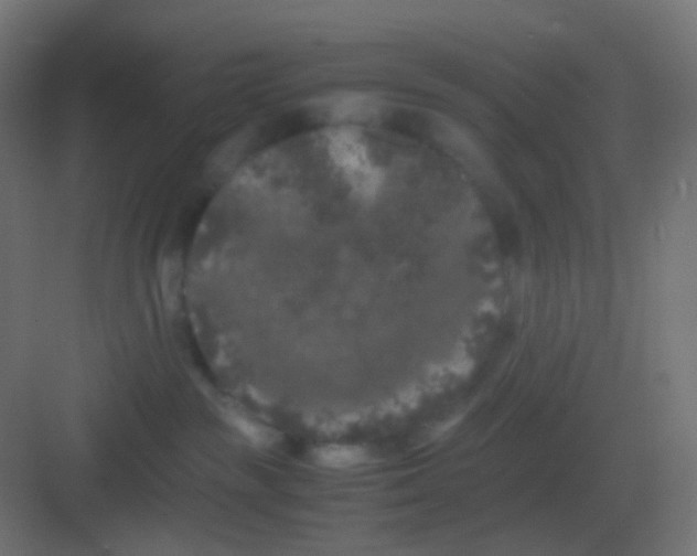 X0000081330189200702082212