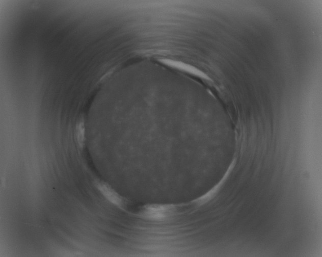 X0000081330190200702082212