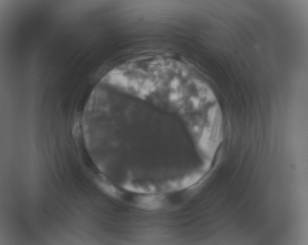 X0000081330191200702082212