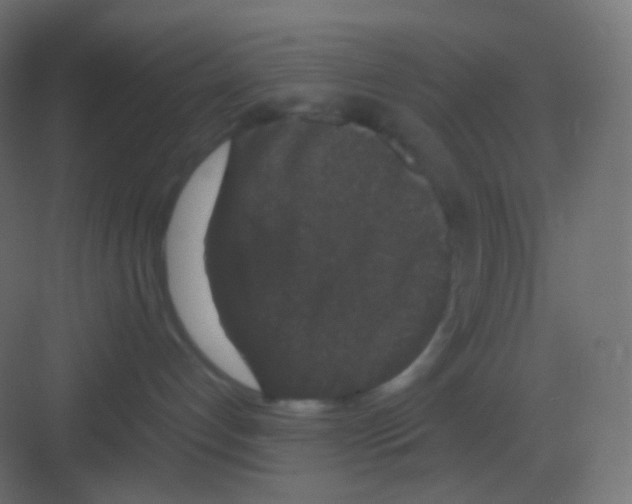 X0000081330192200702082212