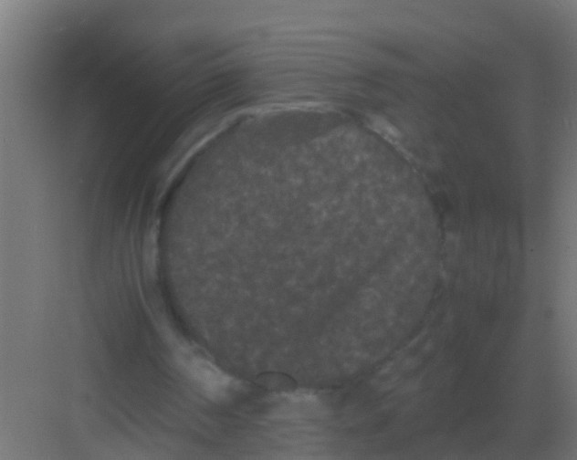 X0000081330194200702082211