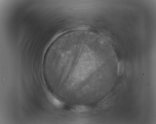 X0000081330195200702082211