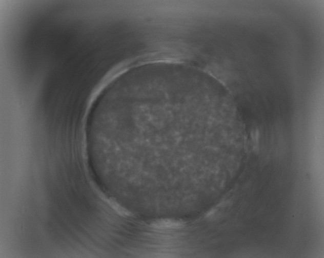 X0000081330198200702082211