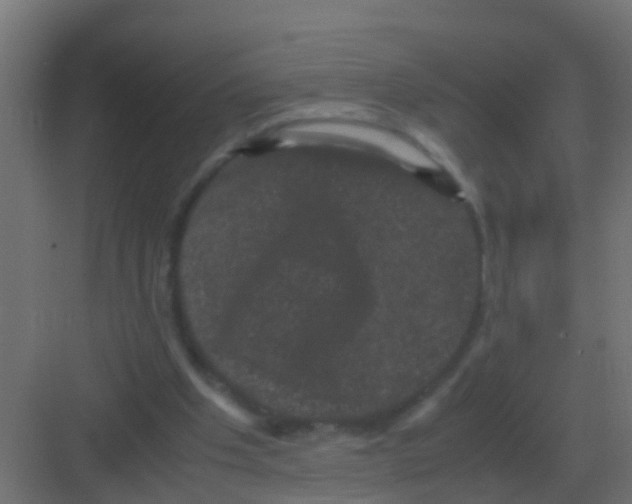 X0000081330201200702082211