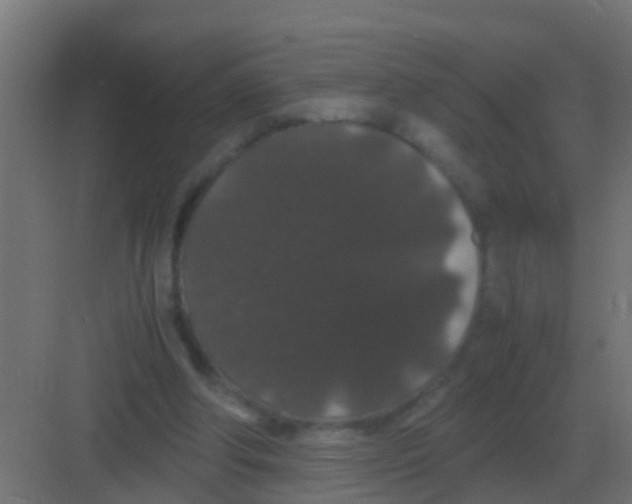 X0000081330202200702082211