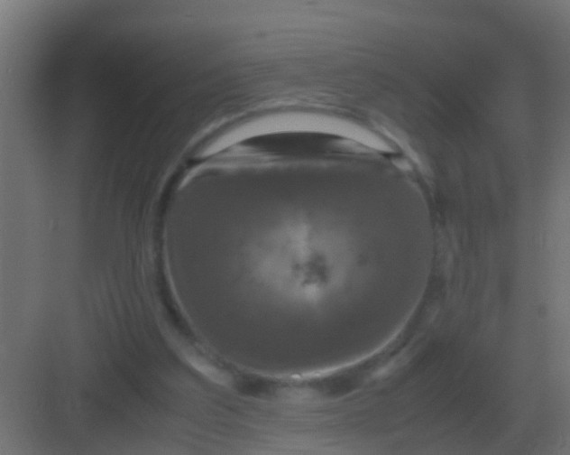 X0000081330203200702082211