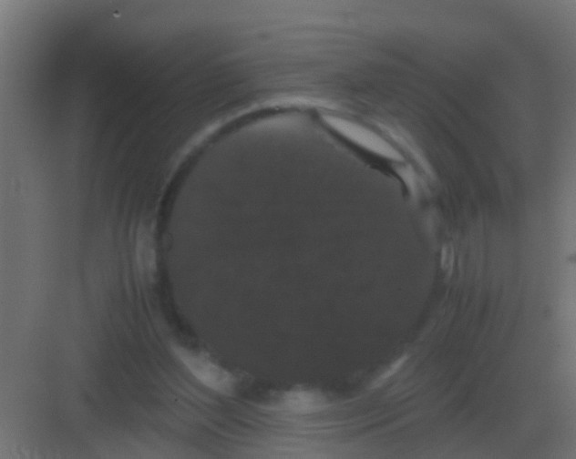 X0000081330204200702082211