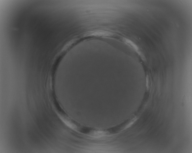 X0000081330205200702082211