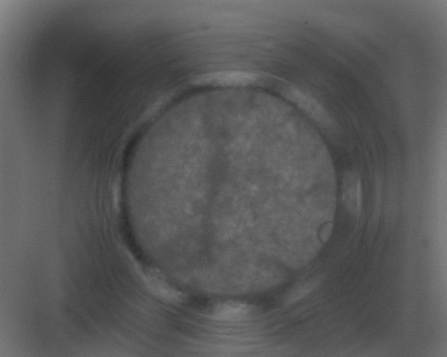 X0000081330206200702082211