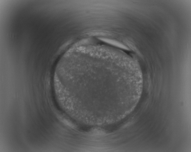 X0000081330207200702082211