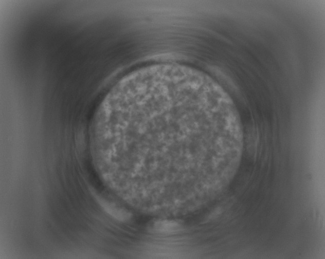 X0000081330208200702082211