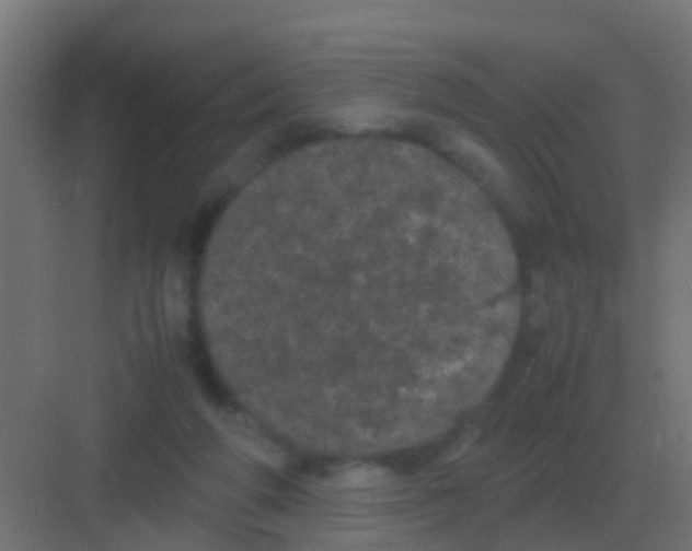 X0000081330210200702082211