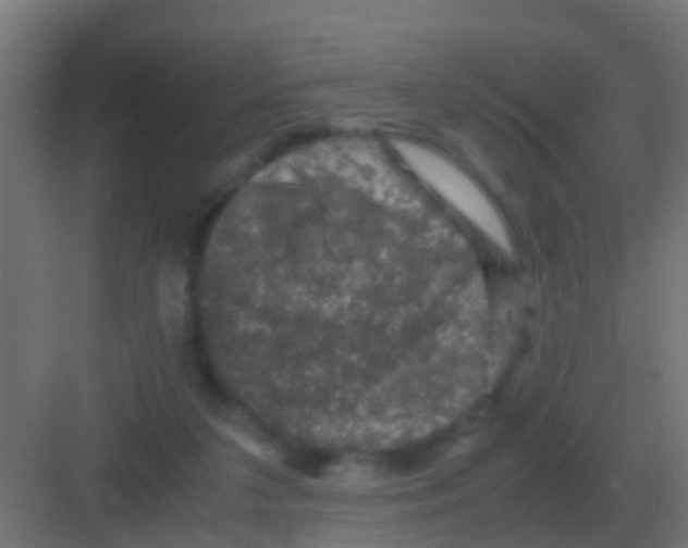 X0000081330211200702082211