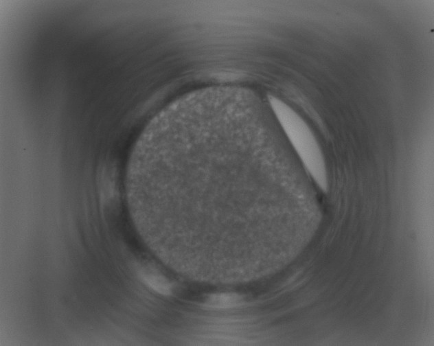 X0000081330212200702082211