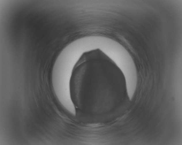 X0000081330213200702082210