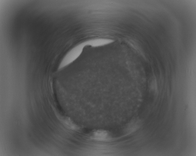 X0000081330214200702082210