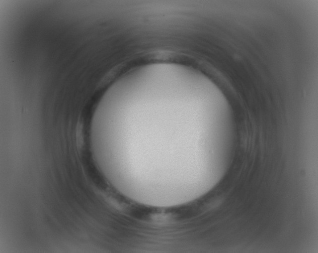 X0000081330216200702082210