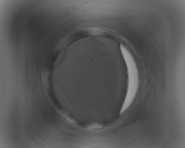 X0000081330217200702082210