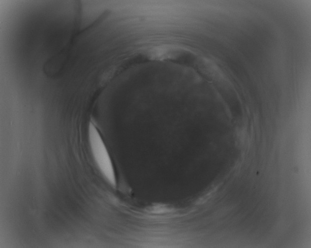 X0000081330219200702082210