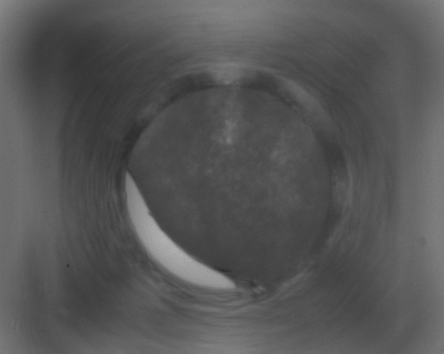 X0000081330221200702082210