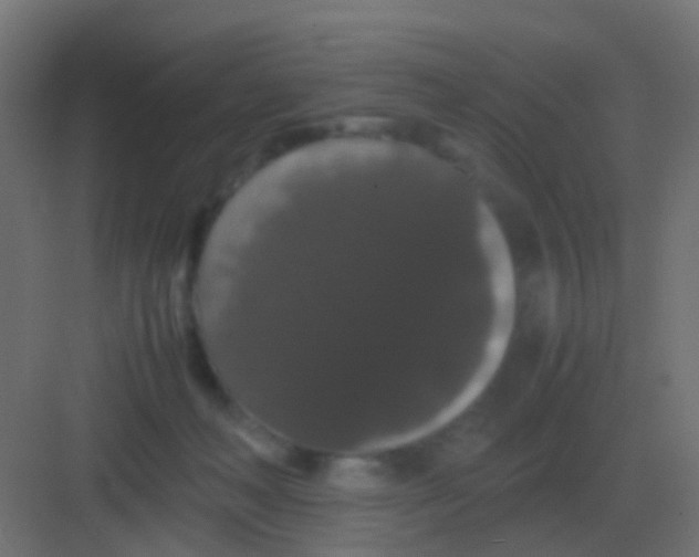 X0000081330222200702082210