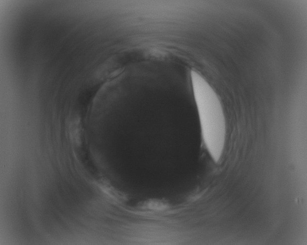 X0000081330223200702082210