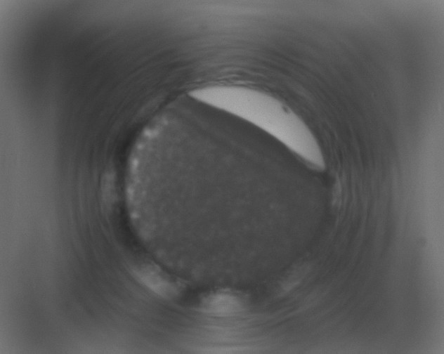 X0000081330224200702082210