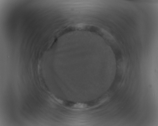 X0000081330225200702082210