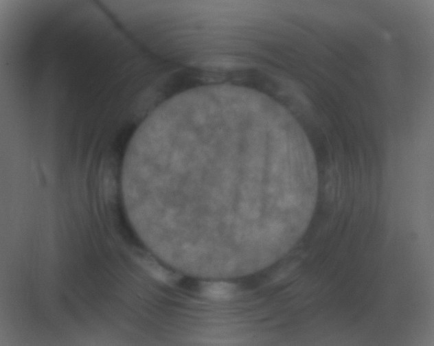 X0000081330226200702082210