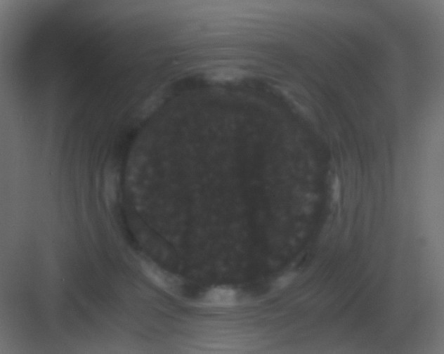 X0000081330227200702082210