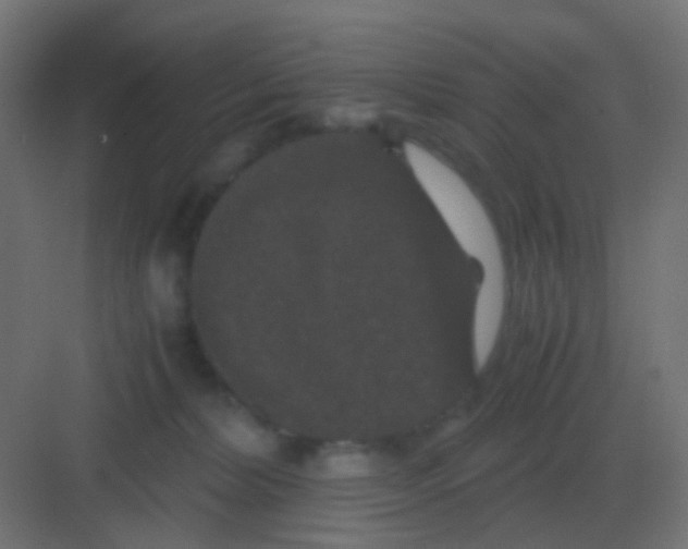 X0000081330228200702082210